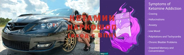 индика Пестово