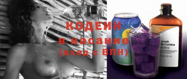 индика Пестово