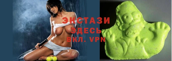 индика Пестово