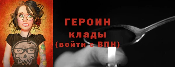 индика Пестово