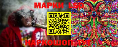 индика Ирбит