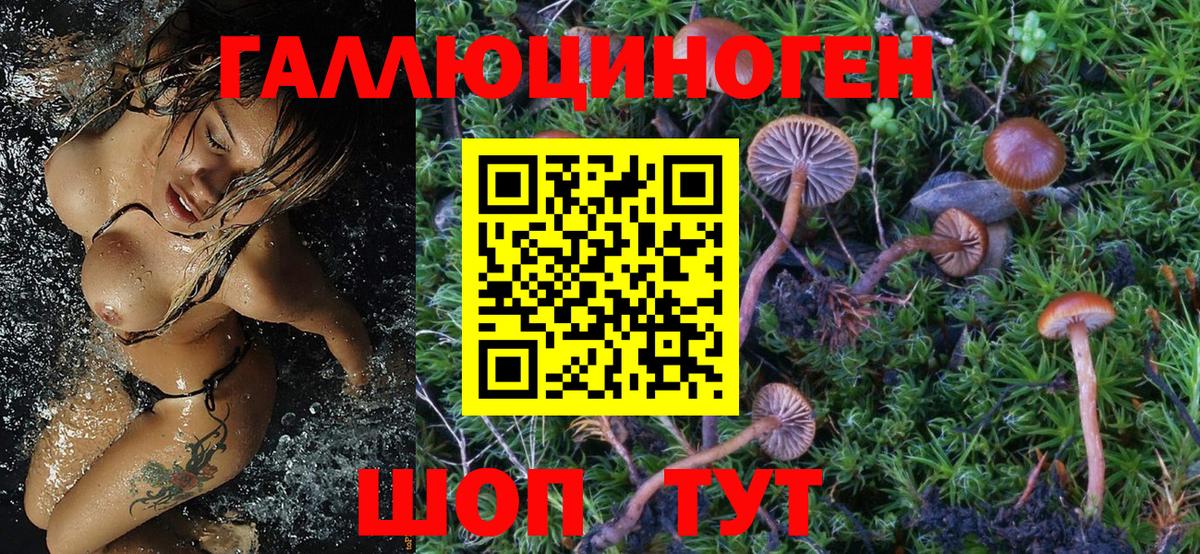 Галлюциногенные грибы мухоморы Красногорск