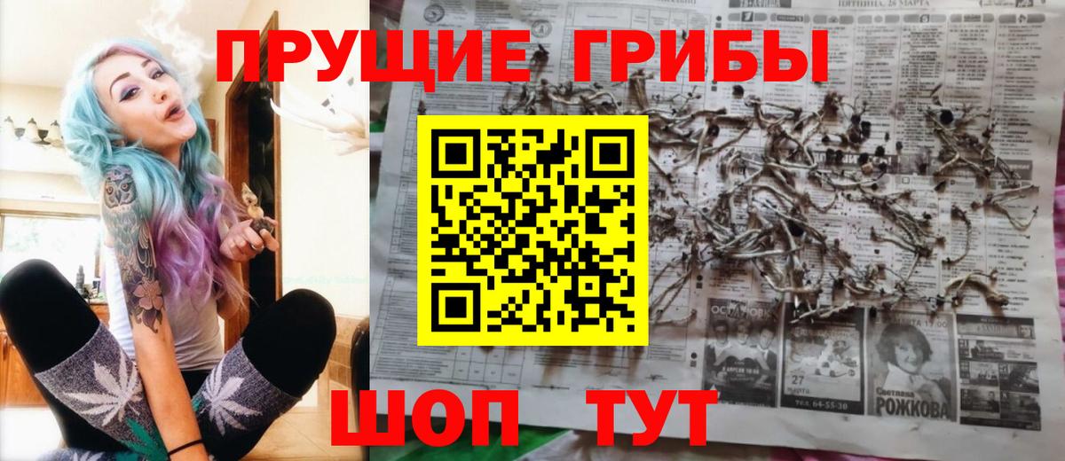 Псилоцибиновые грибы Psilocybine cubensis  купить наркотик  Красногорск  Галлюциногенные грибы Psilocybe 