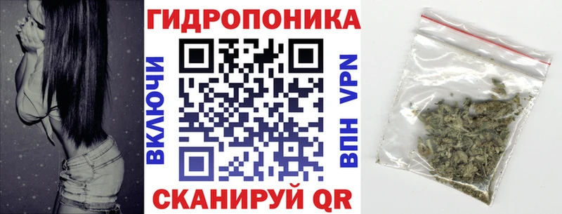 Шишки марихуана гибрид  Красногорск 